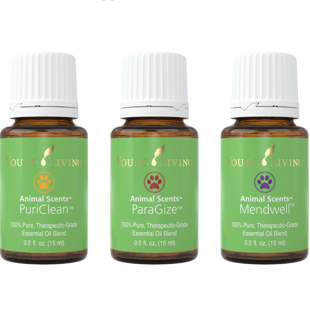 animal scents young living essential oils