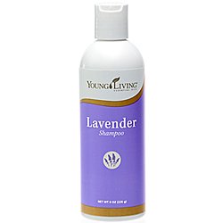 LAVENDER SHAMPOO